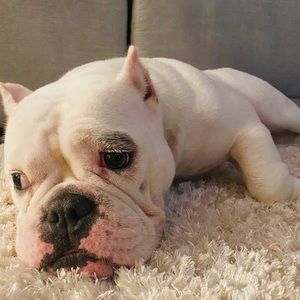 Meet your Posher, Natalie